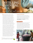 Distilling-Essential-Oils-pg1-Winter-2014