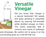 vinegar in the garden